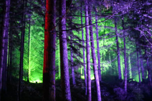 enchanted forest pitlochry scotland