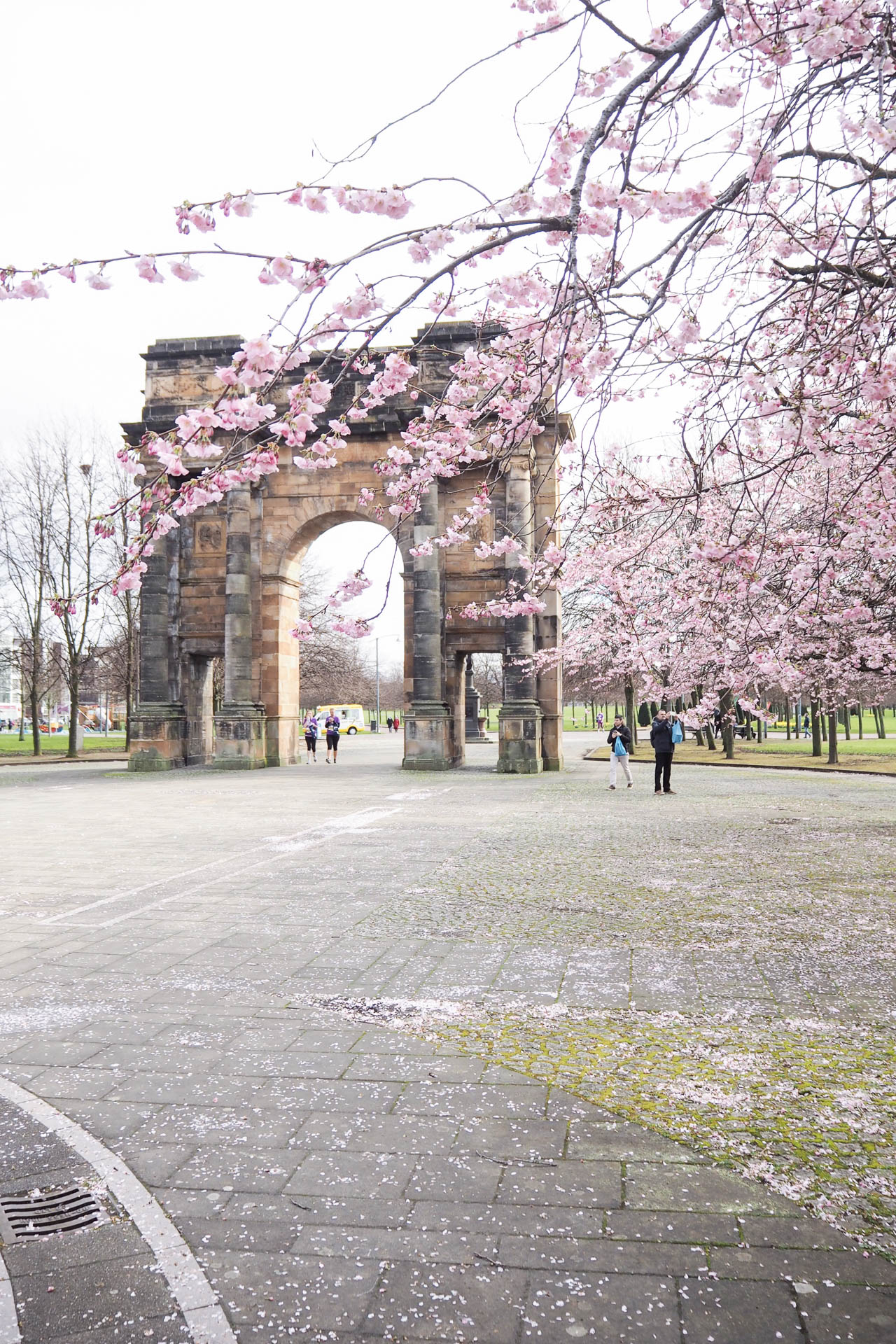 spring fashion cherry blossom