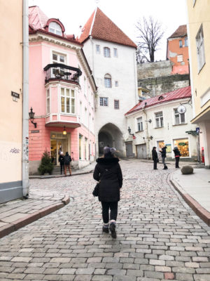 Tallinn city guide