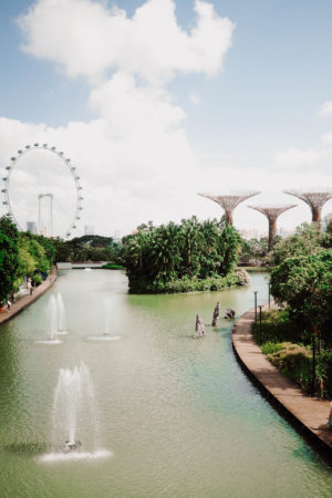 Singapore travel diary - gardens by the bay
